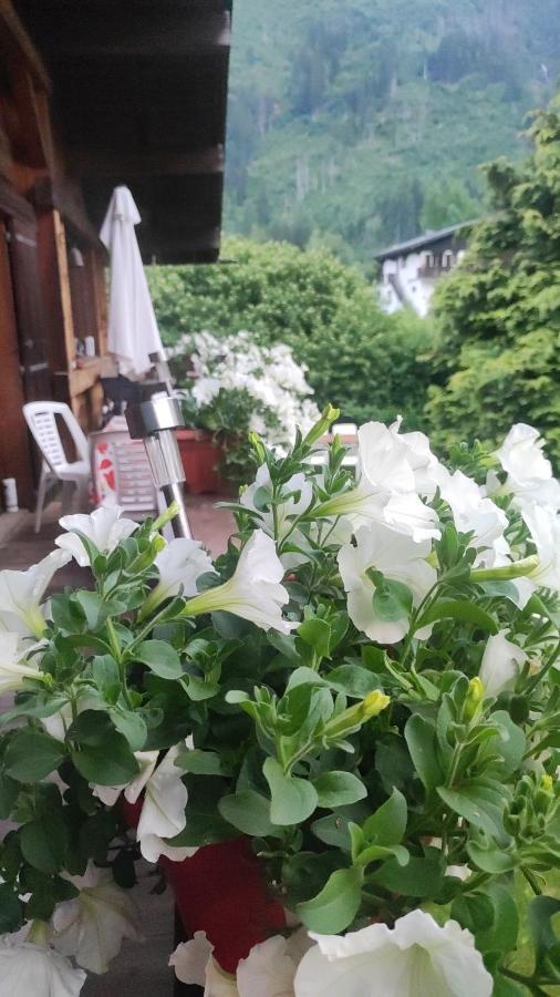 Tellahouse Hotel Chamonix Ngoại thất bức ảnh